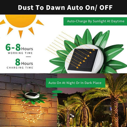 LED Solar Garden Lights